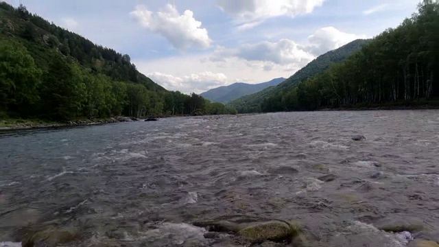 1000077868.mp4