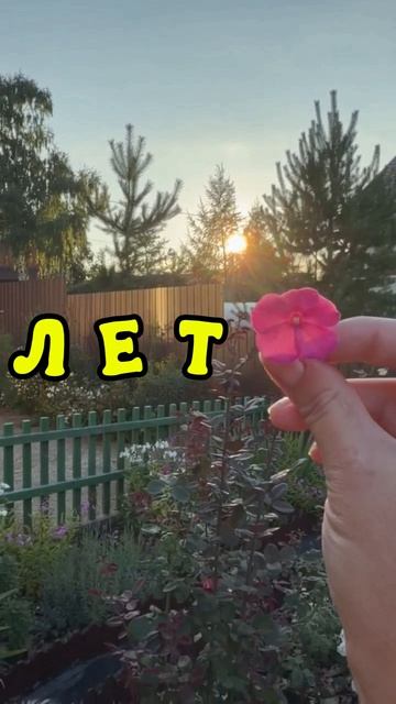 Лето 2026