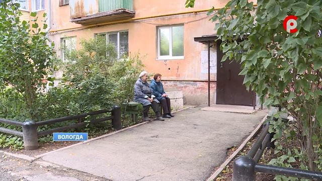 В одном из дворов Вологды вырубают деревья