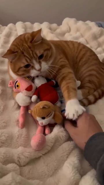 Ревизию проведи перед сном