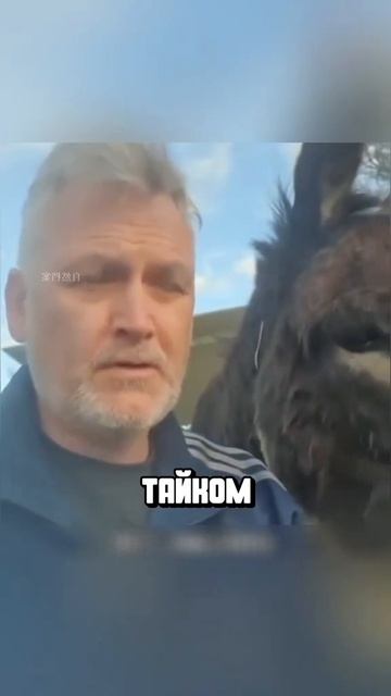 Я люблю всех животных😇