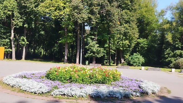 в парке