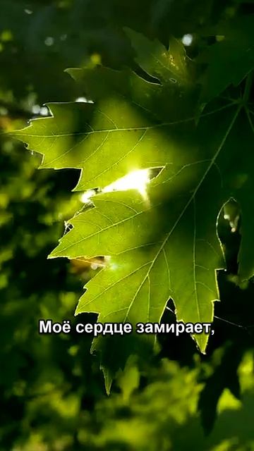 Дроп на второй секунде 🍁