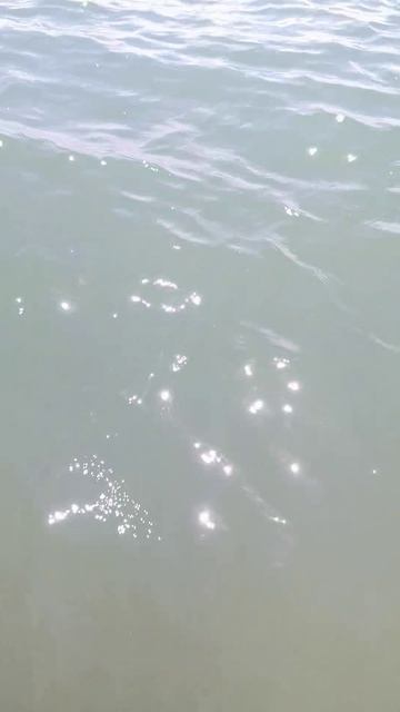 VID_20260819_131340
