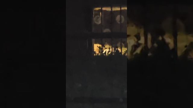 YGOR1726_23.08.2026-Видео от Светланы