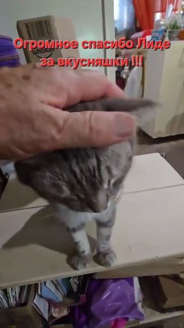 Огромное спасибо Лиде!!!