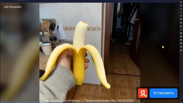 супер медведь поиск босса 2часть