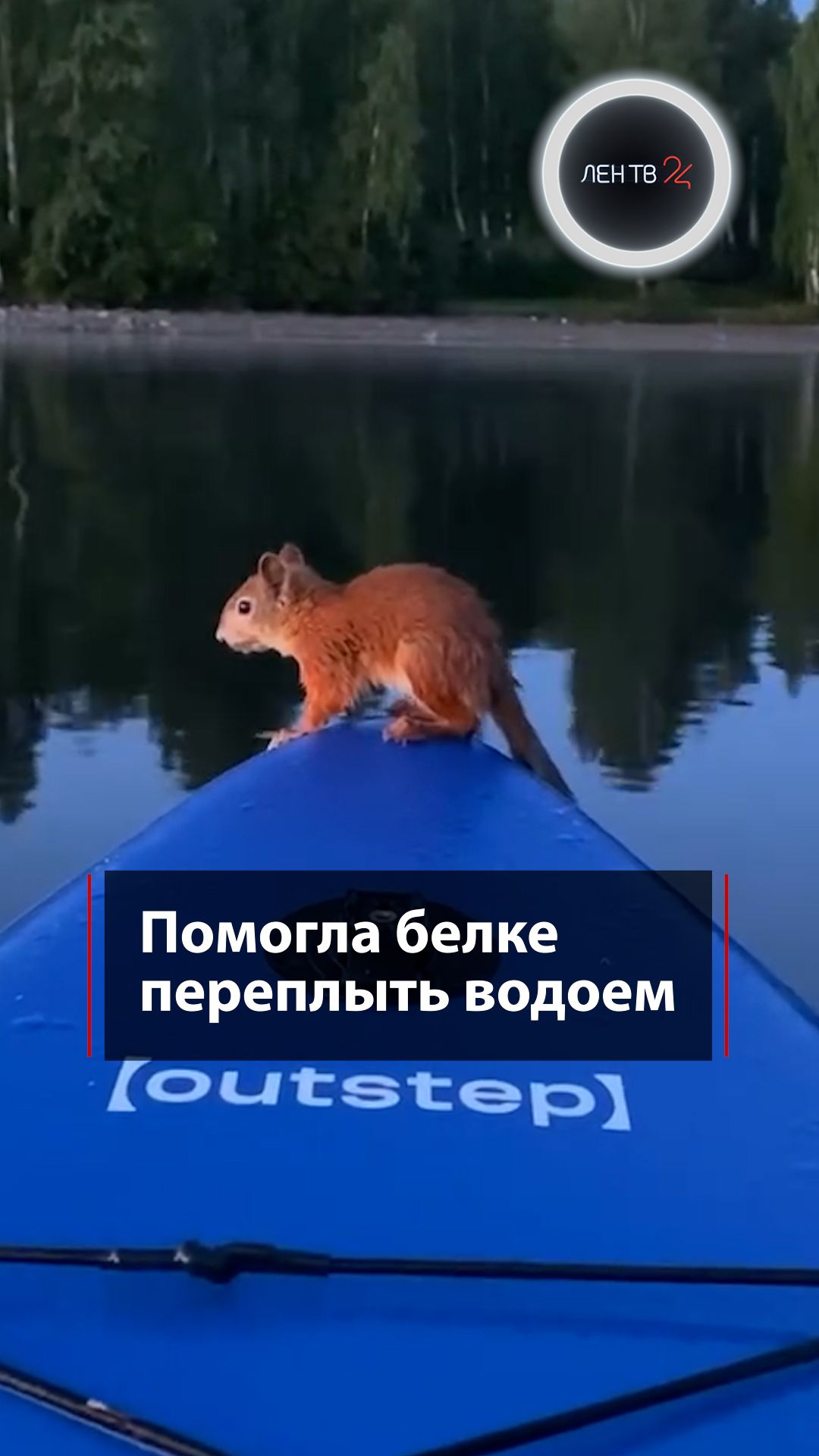 Помогла белке переплыть водоем