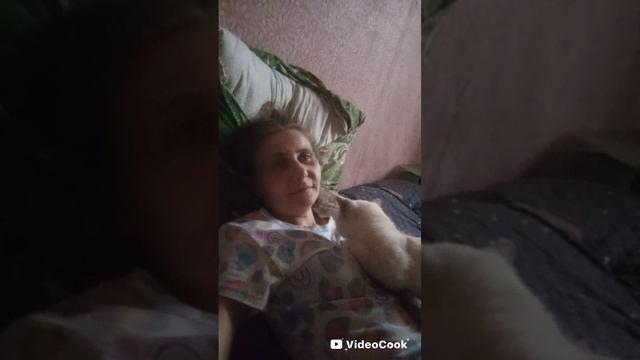 Я и мои котики