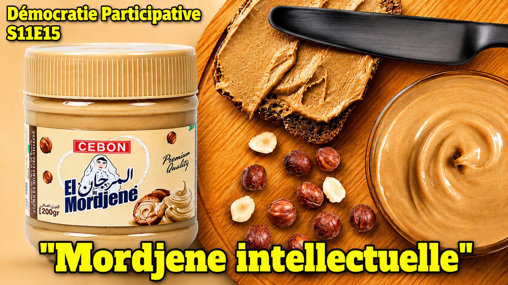 Démocratie Participative S11E15 : “Mordjene Intellectuelle” [Flokossama]