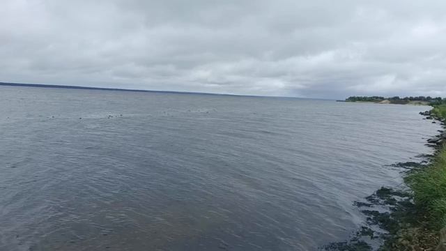 На Волге в пасмурный день