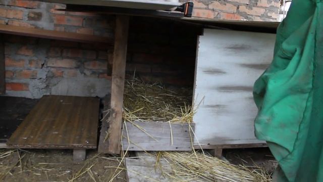 Осень в разгаре, отдыхаю в выходной.