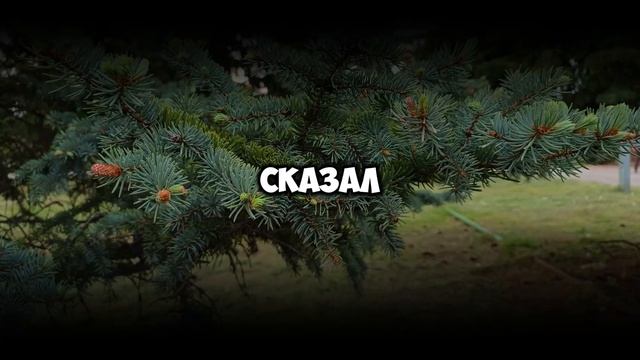 «Наконец-то эта нищенка съехала!» — ликовала свекровь с подругами. Но утром во двор въехал фургон…