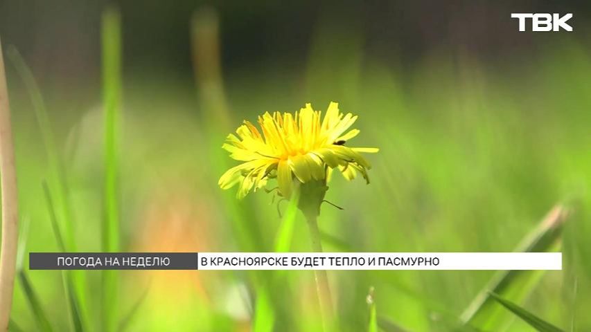 Ухудшение погоды прогнозируют синоптики к 1 сентября