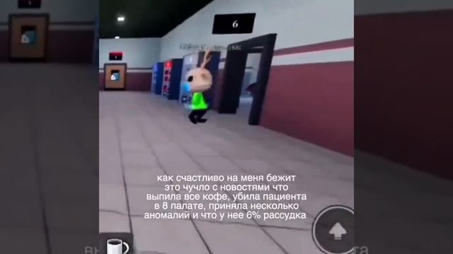Когда в Animal Hospital вообще не пьёшь кофе
