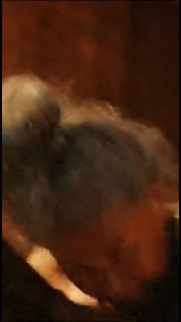 24-08-2026