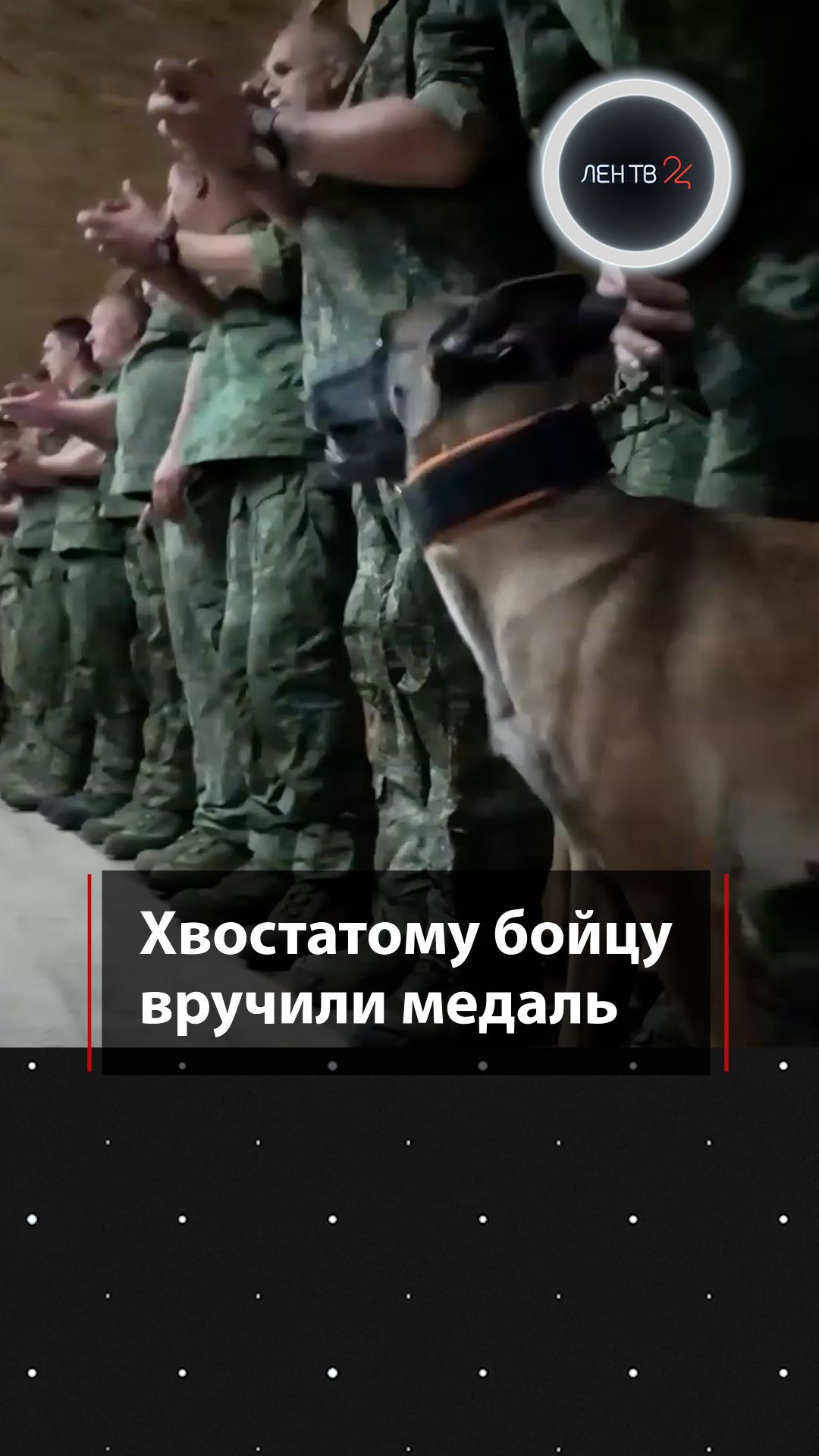 Военные инженеры и их четвероногий напарник получили награды