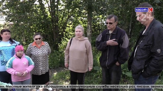 Потоп на Сортировке: требуют спасти район от грязи!