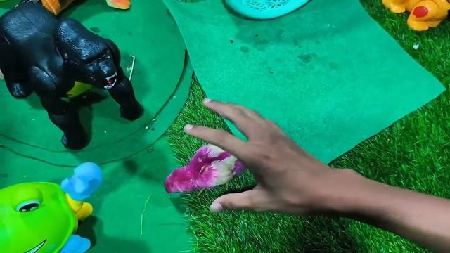 Волшебное приключение в Радужной долине.