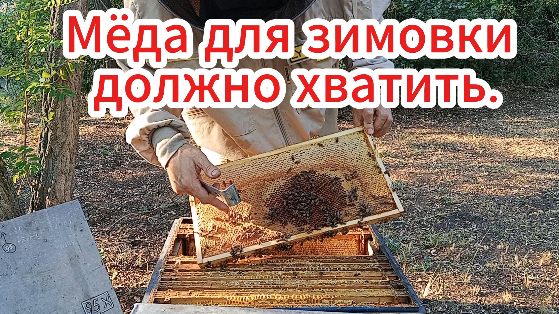 Первый осмотр пчелосемей после возвращения с кочёвки.