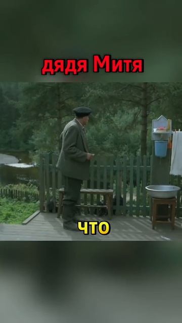 любовь и голуби.