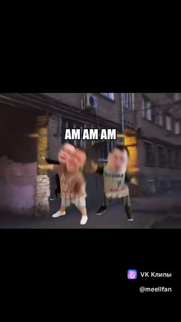 1000008141.mp4