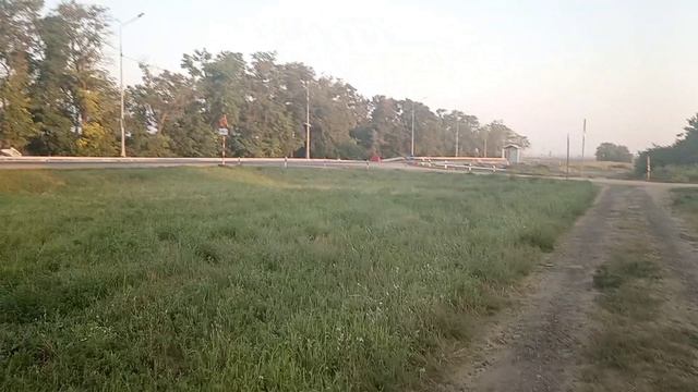 24.08.2026 год. Прогулка.