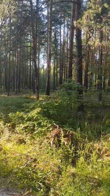 22.08.2026 видео 910