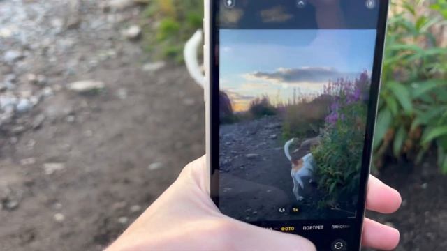 В чем секрет популярности IPhone 11?