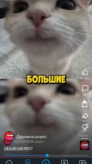 объясни 37