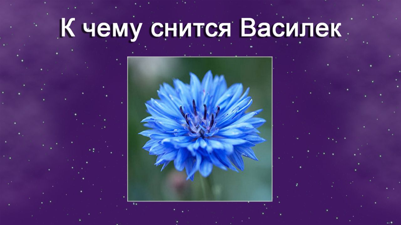 К чему снится Василек - толкование сна