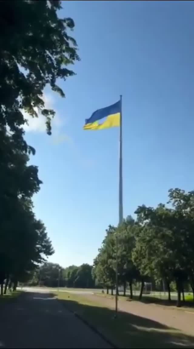 Праздник закончился вполне предсказуемо