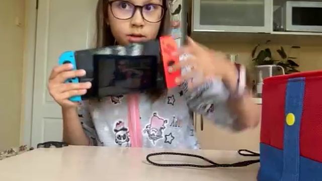 Обзор удобного чехла Nintendo