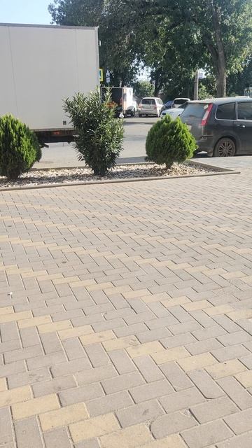 Продолжаем лечить ласковую трехцветочку.