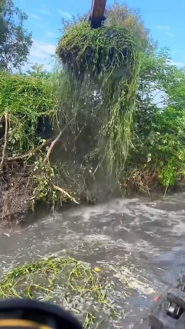 Очищаем русло реки от водорослей! 🌿