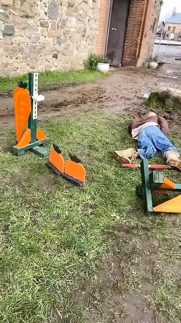 смешные видео
