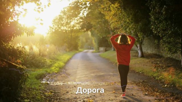 Дорога