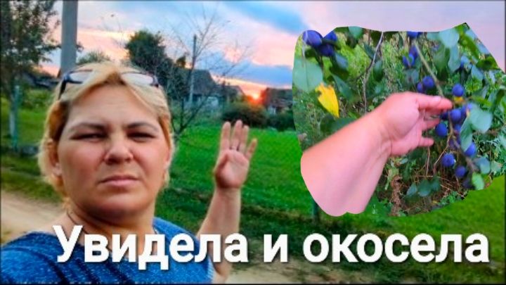 Из осени в лето.Фруктов много не бывает.