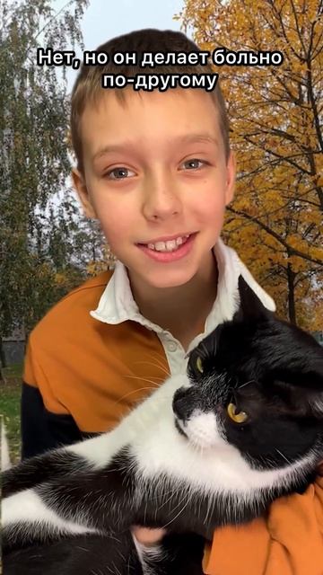 Пушистый спойлер финала лета 😺🎒⏰ #дети #юмор #школа #кот #прикол