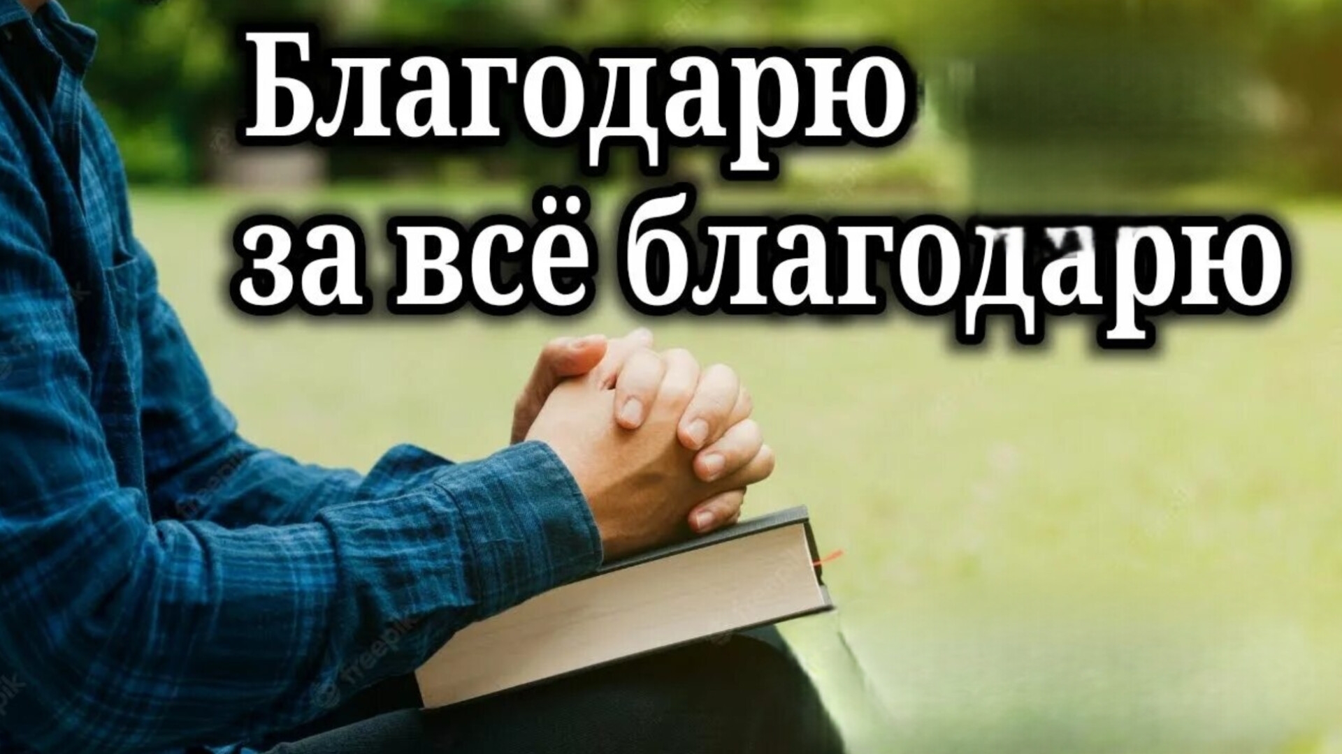 БЛАГОДАРЮ ЗА ВСЕ. Песни для души.
