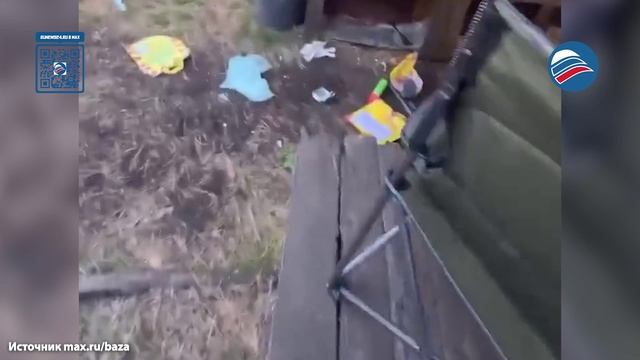 Медвежья семья разгромила дом охотника на Алтае