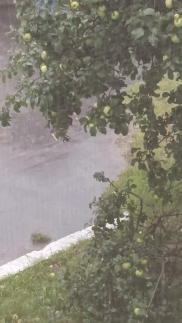 Ливень