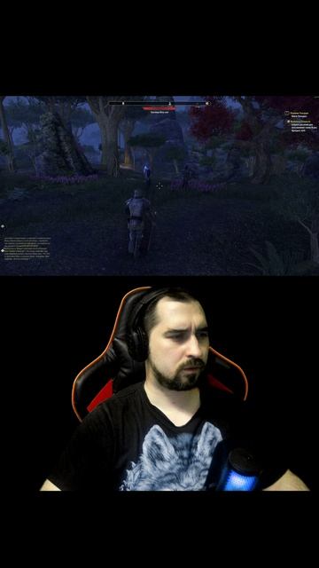 Когда на 60 секунд залетел в The Elder Scrolls Online
