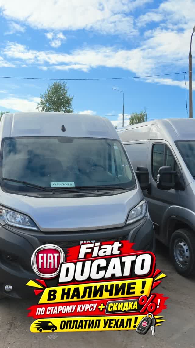 Торопитесь друзья! Свежая партия Ducato  разлетается как пирожки!