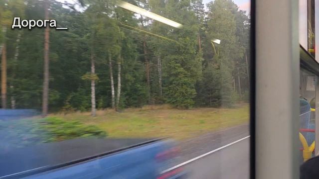 Vlog  Путь в Зеленогорск  Республика кошек  Сливочная паста  vlog хочуврек рек