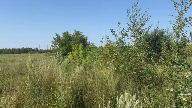 г. Воскресенск ул. Гаражная