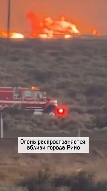Тысячи гектаров в огне