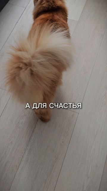 Не для работы создан я