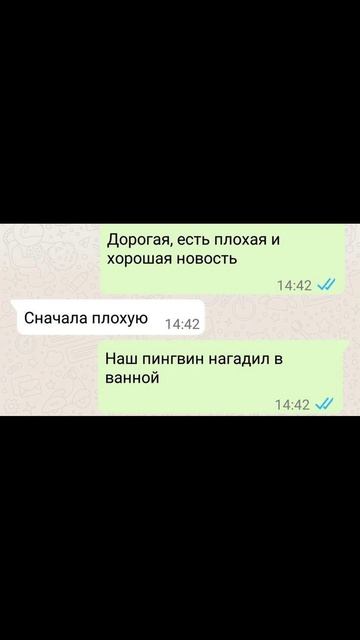 Хорошие новости