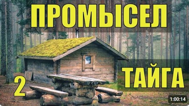 ПРОМЫСЕЛ В ГЛУХОЙ ТАЙГЕ БАРГУЗИНСКИЙ СОБОЛЬ НОЧЕВКА ЛЕСУ ПУШНИНА ОДИН С ЛАЙКОЙ ОТШЕЛЬНИКИ 2